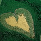 Découvrez la foi Gaïaiste